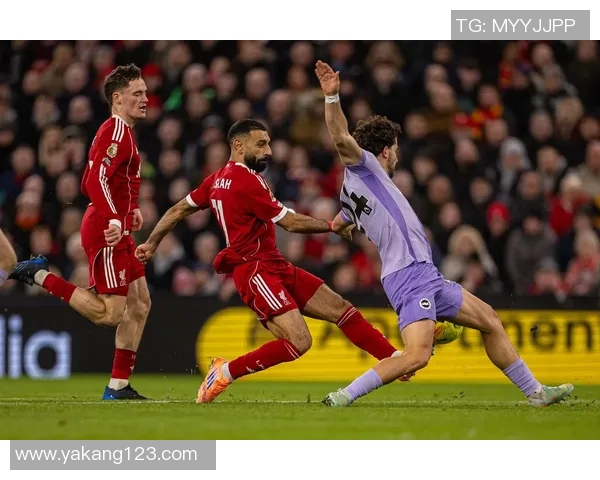 布莱顿主场迎战利物浦双方争夺英超积分榜关键战役